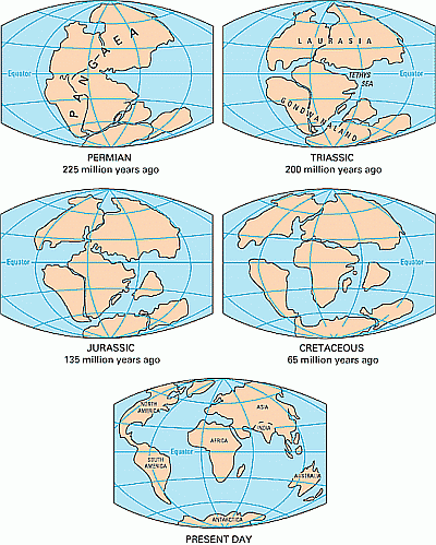 http://geografia_liceum.republika.pl/geotektonika/dryf.gif